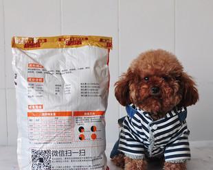 萨摩耶幼犬的最佳饮食选择（以狗粮为主要饮食，维持幼犬的健康成长）