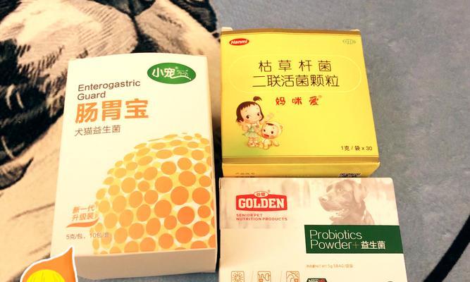 小狗吐了应该怎么办？（探讨宠物吐吐的原因及治疗方法，了解适合小狗的药物）