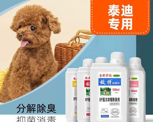 从根源解决家里的狗味（让家里的气氛更加清新）