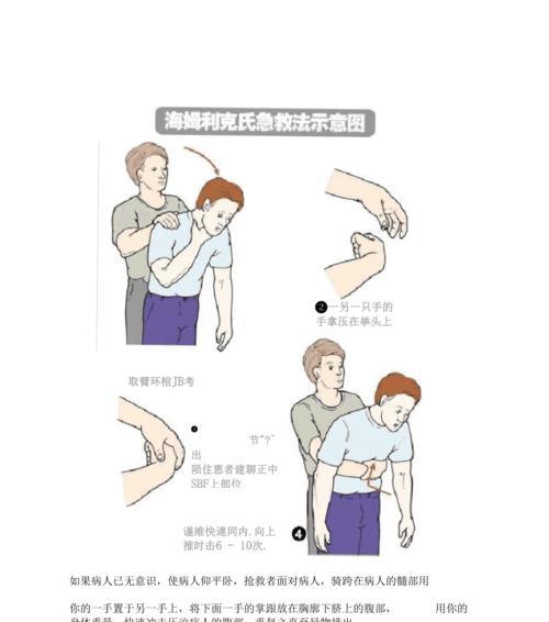 贝灵顿梗咳嗽应对指南（宠物主人必读，助你应对贝灵顿梗咳嗽）