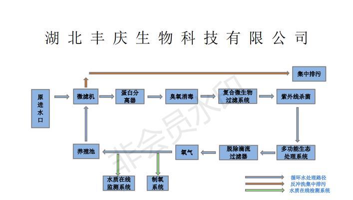 兔饲养技巧（如何正确养护肉兔，打造高产优质的齐兴兔品种？）