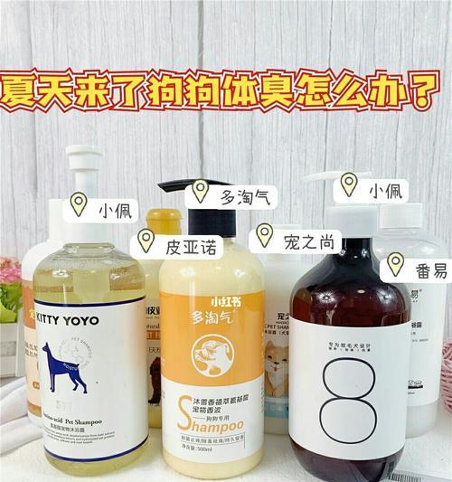 小心！不能用人的沐浴露给狗狗洗澡（为何不能用人的沐浴露给狗狗洗澡？如何选择合适的宠物沐浴露？）