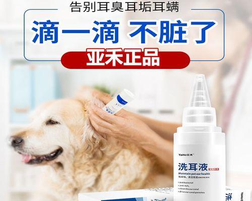 如何为宠物狗清洁耳朵——掌握正确的清洁方法（学会清洁宠物狗耳朵的正确姿势，防止细菌感染）