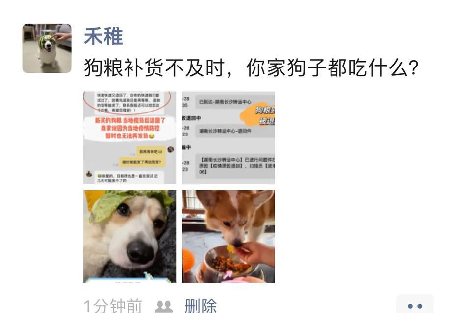 宠物狗粮购买指南（从哪里购买狗粮？如何选择适合宠物的狗粮？）