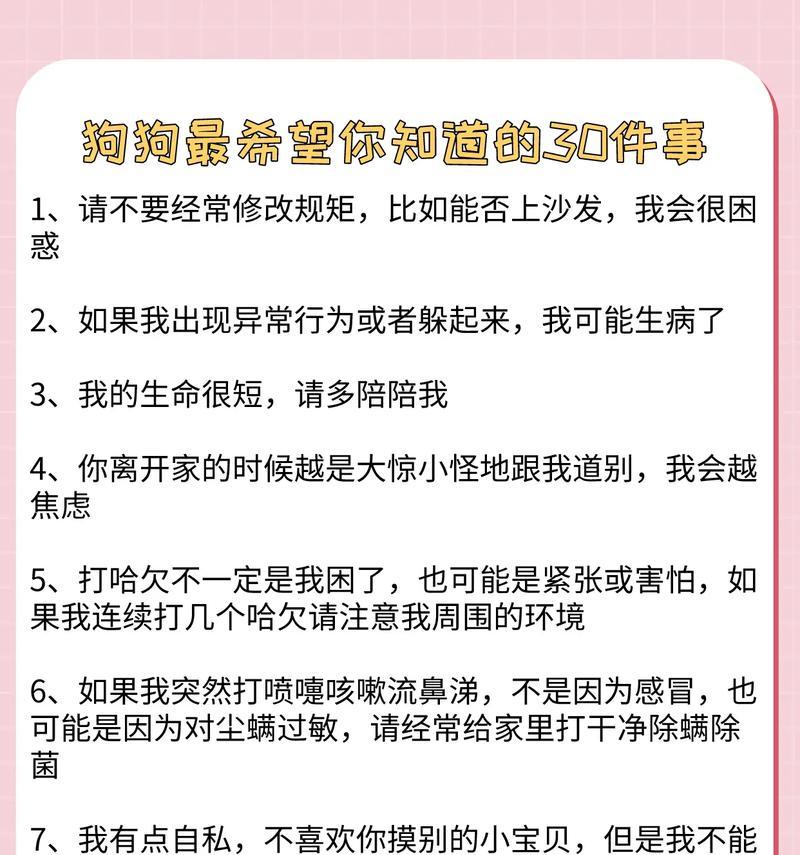 如何纠正以柴犬喜欢护食的习惯（让你的柴犬变得更健康）