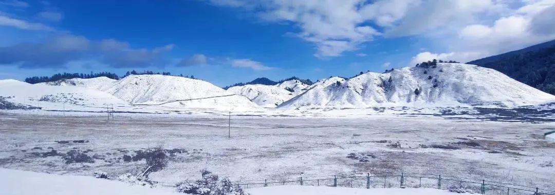 高山姬鼠的饲养方法（打造舒适温馨的高山姬鼠家园）