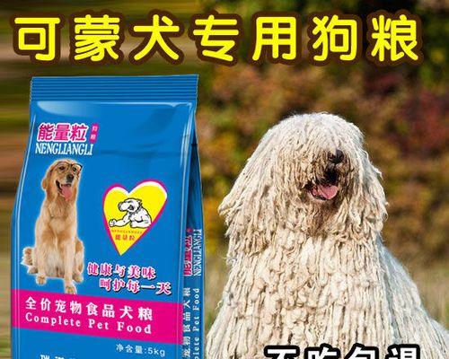 养可蒙犬的注意事项与技巧（掌握这些养犬技巧，让你的可蒙犬健康快乐成长）
