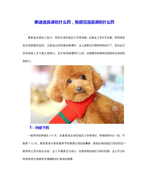 以巴哥犬细小病毒感冒的预防与治疗（让你的宠物安然无恙过冬）