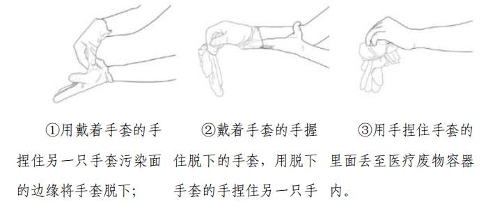 如何正确给蝴蝶犬洗澡？（掌握科学的洗澡方法，让你的宠物健康快乐）