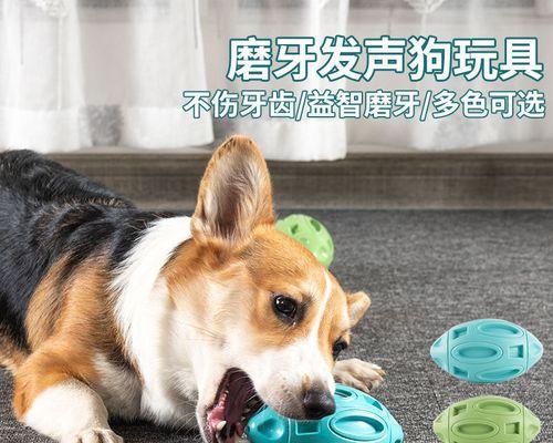 狗狗吃磨牙棒的好处（保持口腔健康的小工具）