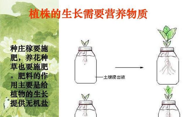 威尔士梗饲养宝典（了解威尔士梗，成为出色的犬主）