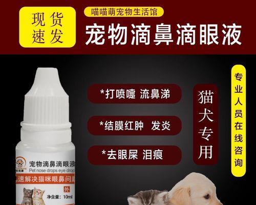 狗狗流黄色脓鼻涕，该如何应对？（经常擦洗可以减轻症状）