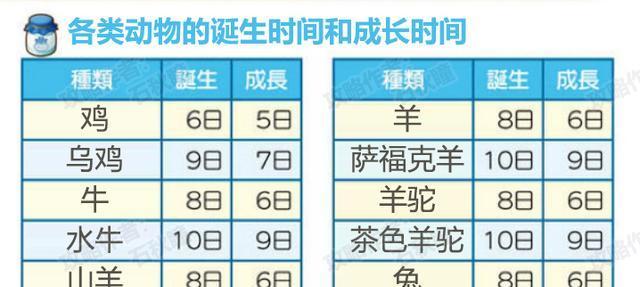 新英格兰棉尾兔饲养指南（了解如何给棉尾兔提供一个安全和健康的环境）