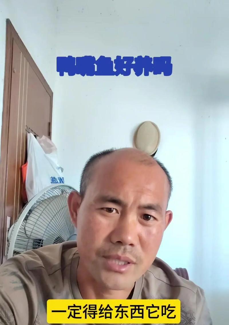 虎鲶的饲养方法（打造健康、舒适的虎鲶生活环境）