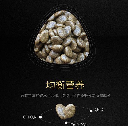 四五个月泰迪狗粮饲养指南（如何为四五个月的泰迪狗提供健康的饮食？）