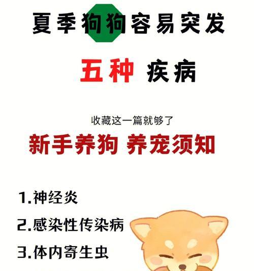让宠物健康愉快的旅行（让宠物健康愉快的旅行）