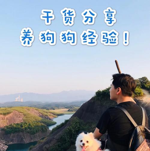 招财博美狗的命名之道（如何给博美狗取一个能招财的名字？）