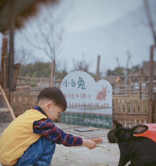 一只健康、快乐的小伙伴（一只健康、快乐的小伙伴）