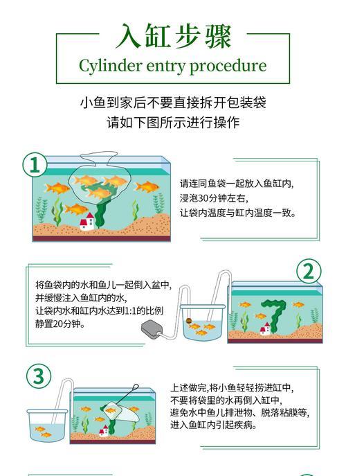 华北鼢鼠饲养指南（掌握这些技巧，让你的华北鼢鼠健康成长）