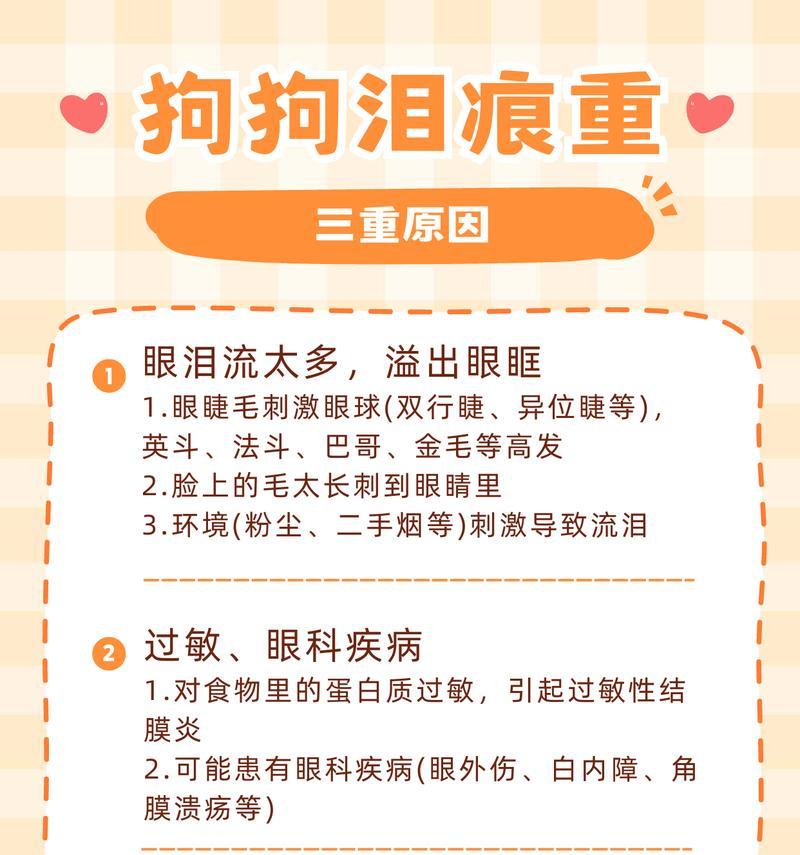 以比熊狗狗出现泪痕的原因剖析（了解泪痕的成因和解决方法，给爱宠更好的呵护）
