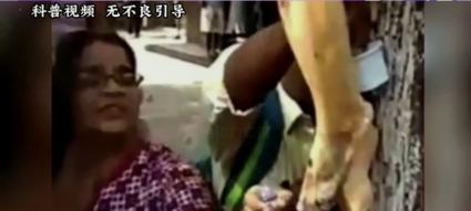 狗狗的忠诚无人能敌（探究宠物狗狗为什么如此忠诚）
