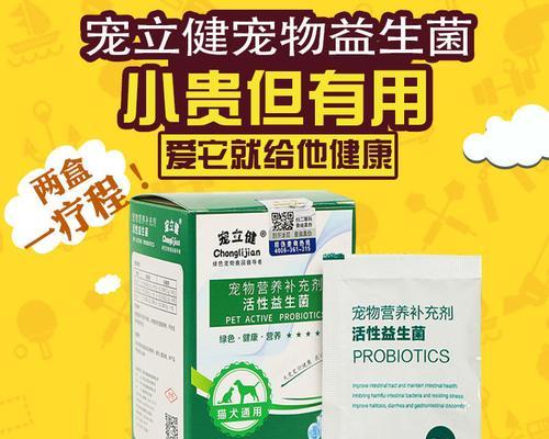 如何解决泰迪犬便秘问题（一步步教你改善宠物健康）