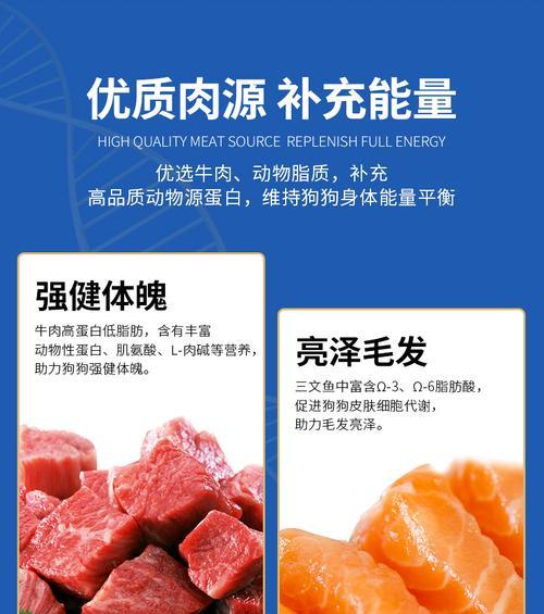 如何科学补充藏獒钙质（宠物爱好者必看，让你的藏獒更健康）