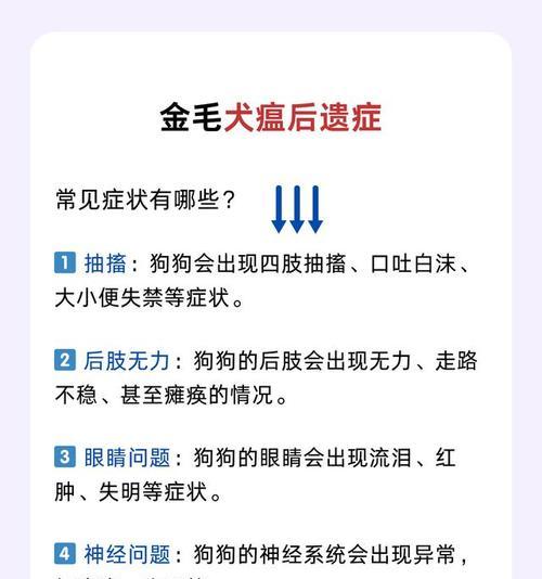 宠物犬金毛得了犬瘟，如何治疗？（宠物爱好者必读，金毛犬瘟病治疗全攻略）