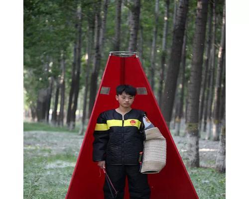 如何训练宠物狗不乱叫（掌握正确的方法，让你的狗狗不再吵闹不休）