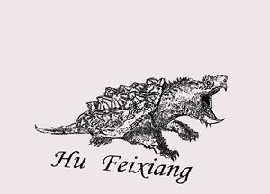 中美拟鳄龟的饲养方法（以宠物为主，让你的拟鳄龟健康成长）