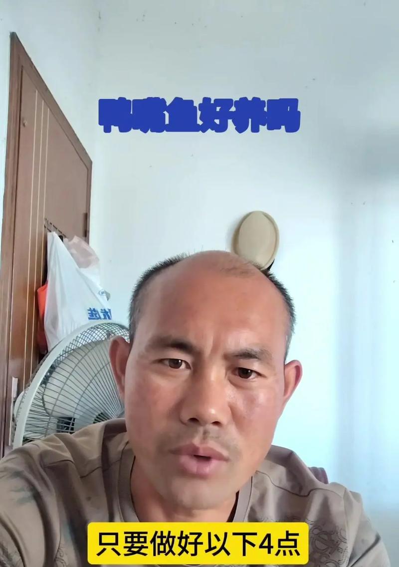 虎鲶饲养指南（从选购到照顾，全方位了解虎鲶养殖技巧）