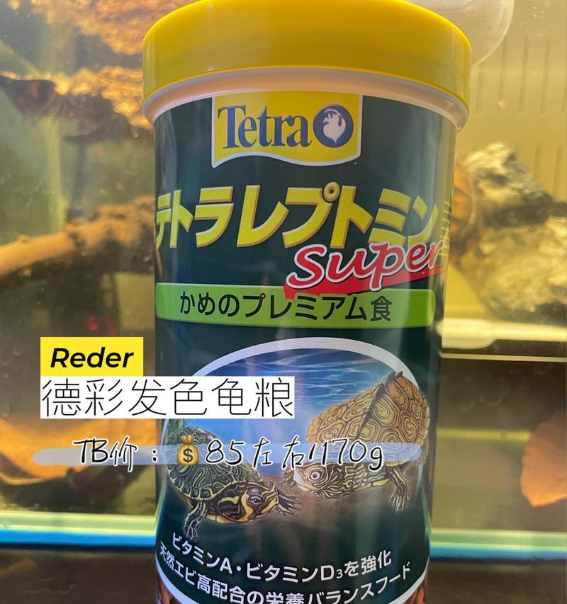 蛋龟饲养全攻略（掌握蛋龟的喂食、水质、环境等关键技巧）