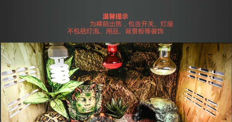 裸滨鼠的饲养方法（建立健康、安全和舒适的生活环境）