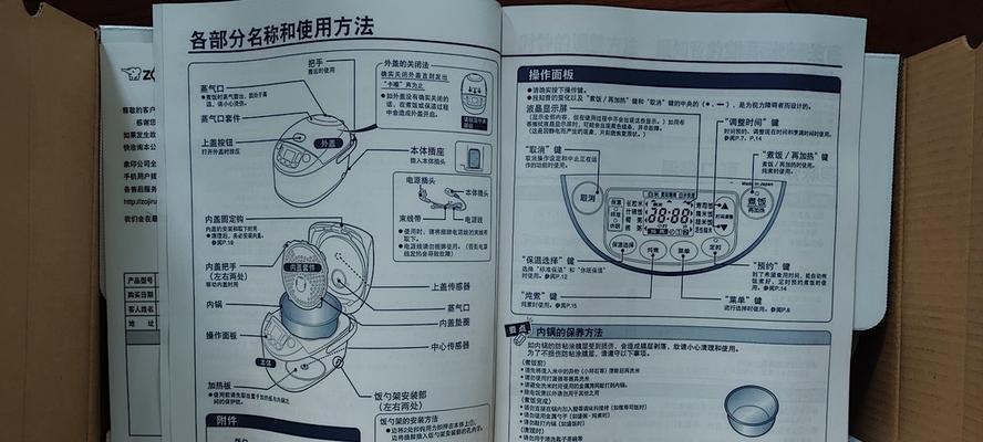 如何饲养健康活泼的阿根廷象龟（宠物爱好者必知的阿根廷象龟养护技巧）