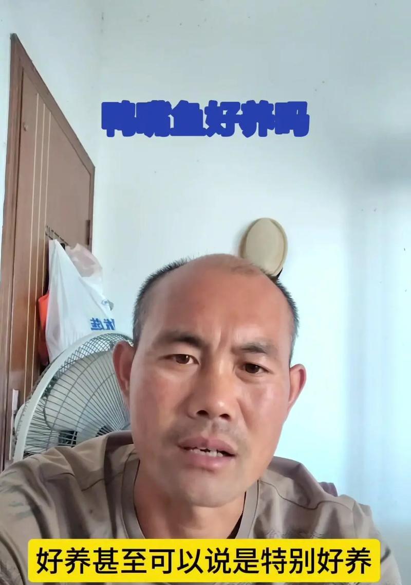 养护须知