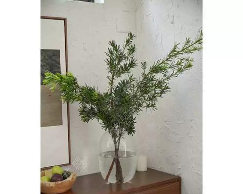 花罗汉的饲养全攻略（如何成为一位合格的花罗汉养殖家）