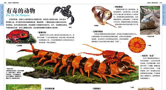 银曼龙宠物饲养指南（了解银曼龙的特点，让它健康成长）