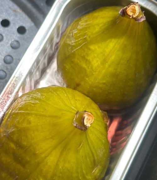 爱德华无花果鹦鹉的饲养方法（培养亲密关系的秘诀）