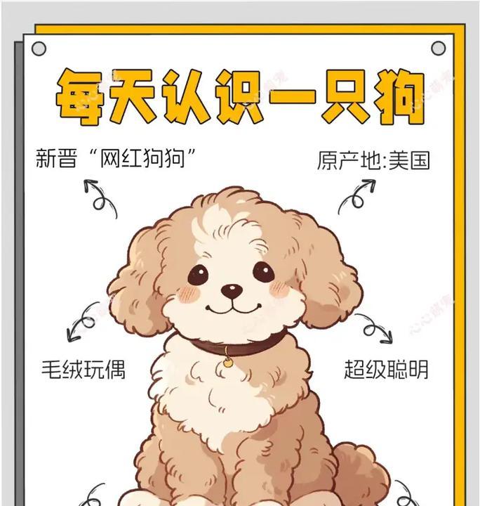 可爱可卡犬的饲养方法（如何做好可卡犬的饲养工作）