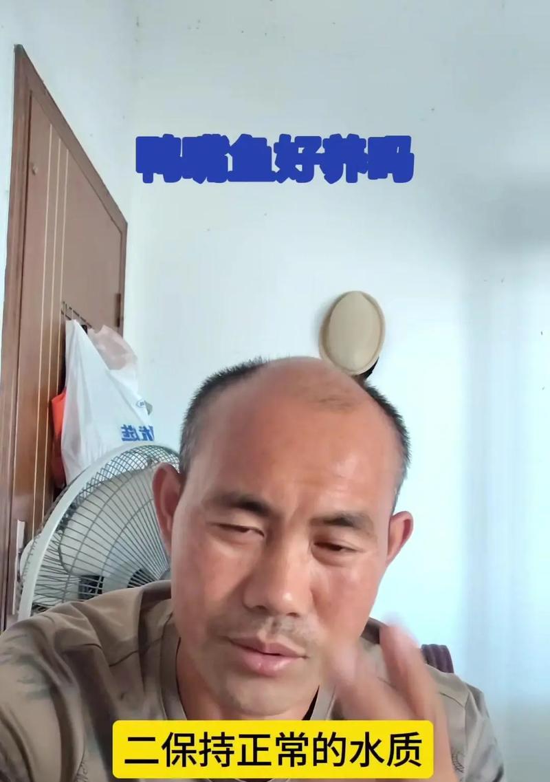 虎鲶饲养指南（从选购到养护，教你养一条健康的虎鲶）