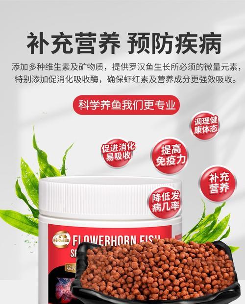花罗汉的饲养方法