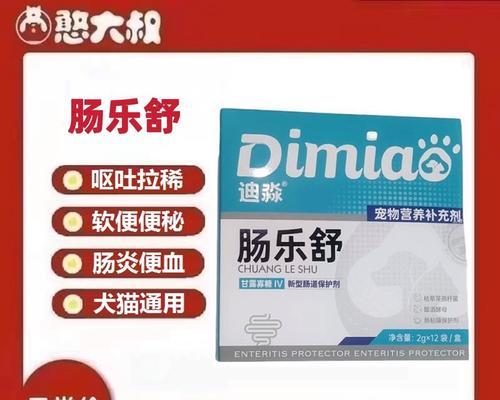 狗狗肠胃炎的症状与治疗（帮助你了解肠胃炎的表现及防治方法）