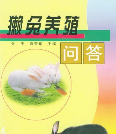 法系獭兔的饲养方法（从家庭宠物到商业养殖，掌握这些知识关键）