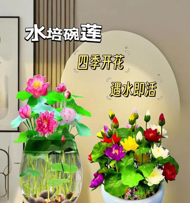 海南兔的饲养方法（养兔之道，让海南兔健康成长）