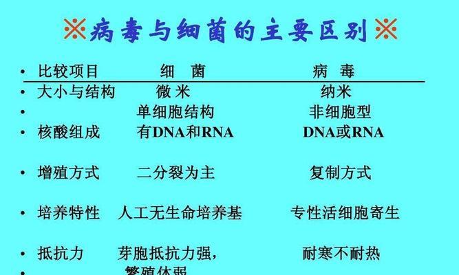 如何正确饲养阿拉莫泥龟？（从环境到饮食，全面了解阿拉莫泥龟的需求）