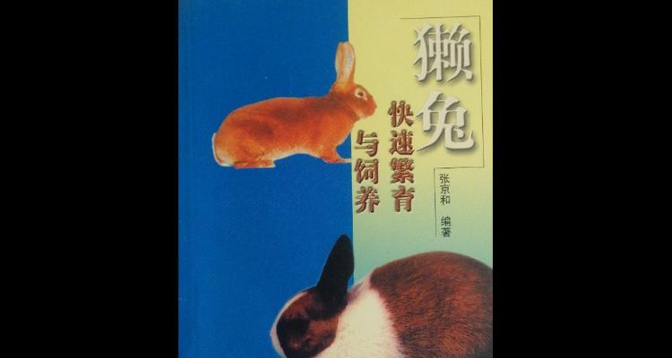 法系獭兔的饲养指南（萌宠之选，细致呵护）