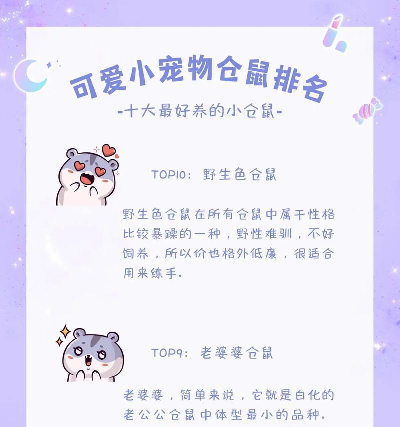 仓鼠的饲养方式与注意事项（仓鼠不能瞎养，它们需要关爱和正确的环境）