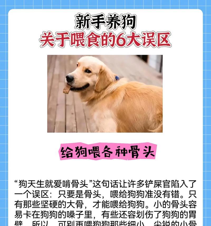 饲养狗狗的六大误区（揭秘狗狗饲养常见错误，宠物爱好者必读！）