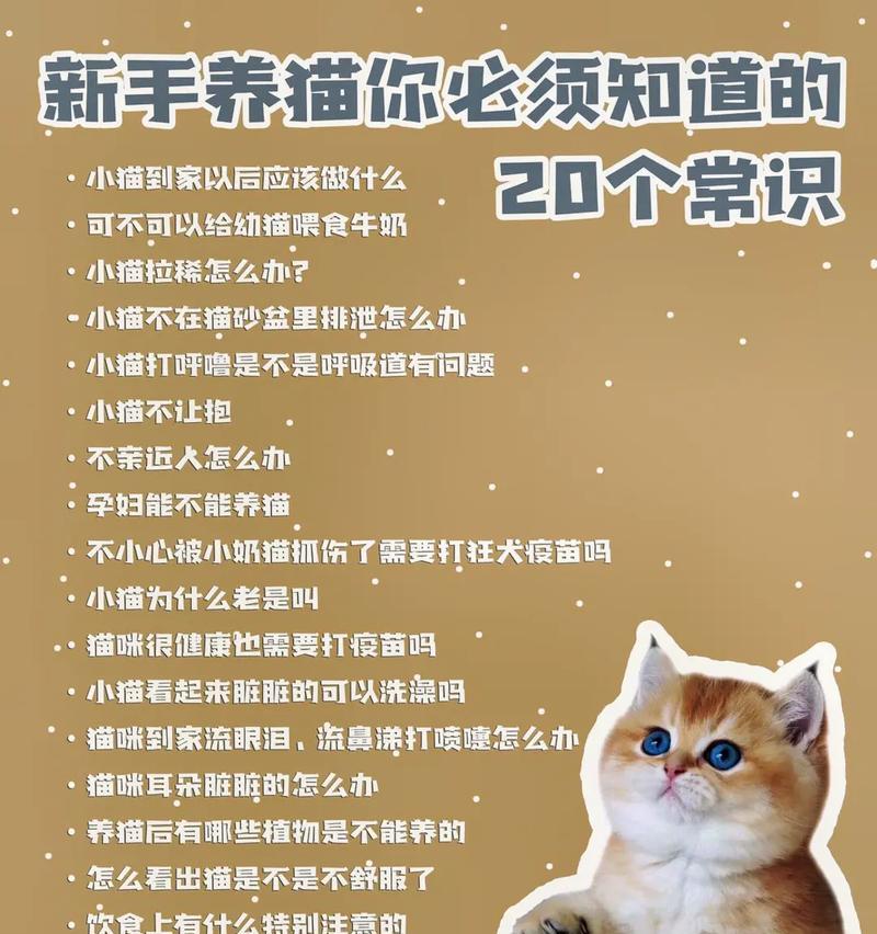 如何正确喂养幼犬（新手铲屎官学起来吧！养宠必备知识）