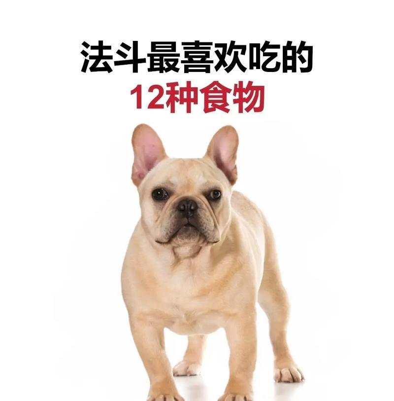 法国斗牛犬价格的五大影响因素（揭秘法国斗牛犬价格波动的关键因素及其影响）
